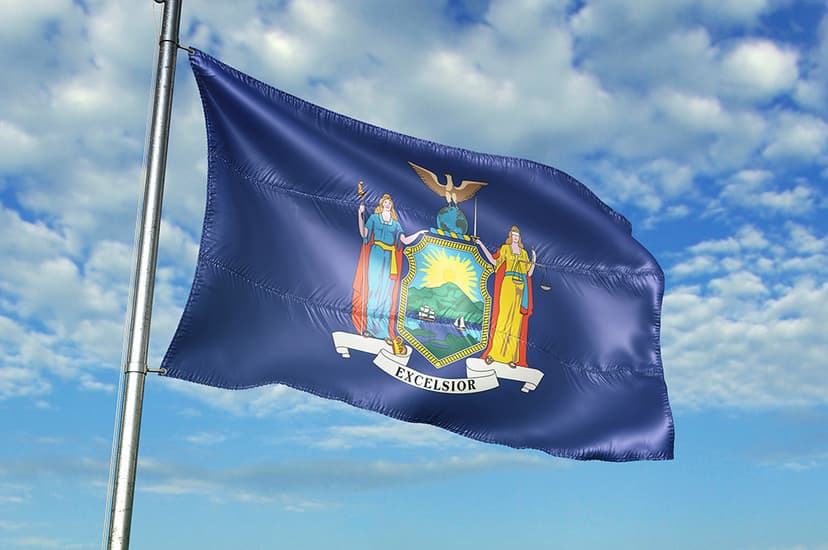The New York state flag.